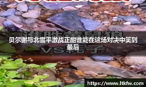 贝尔谢与北雪平激战正酣谁能在这场对决中笑到最后