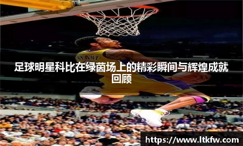 米兰体育官网